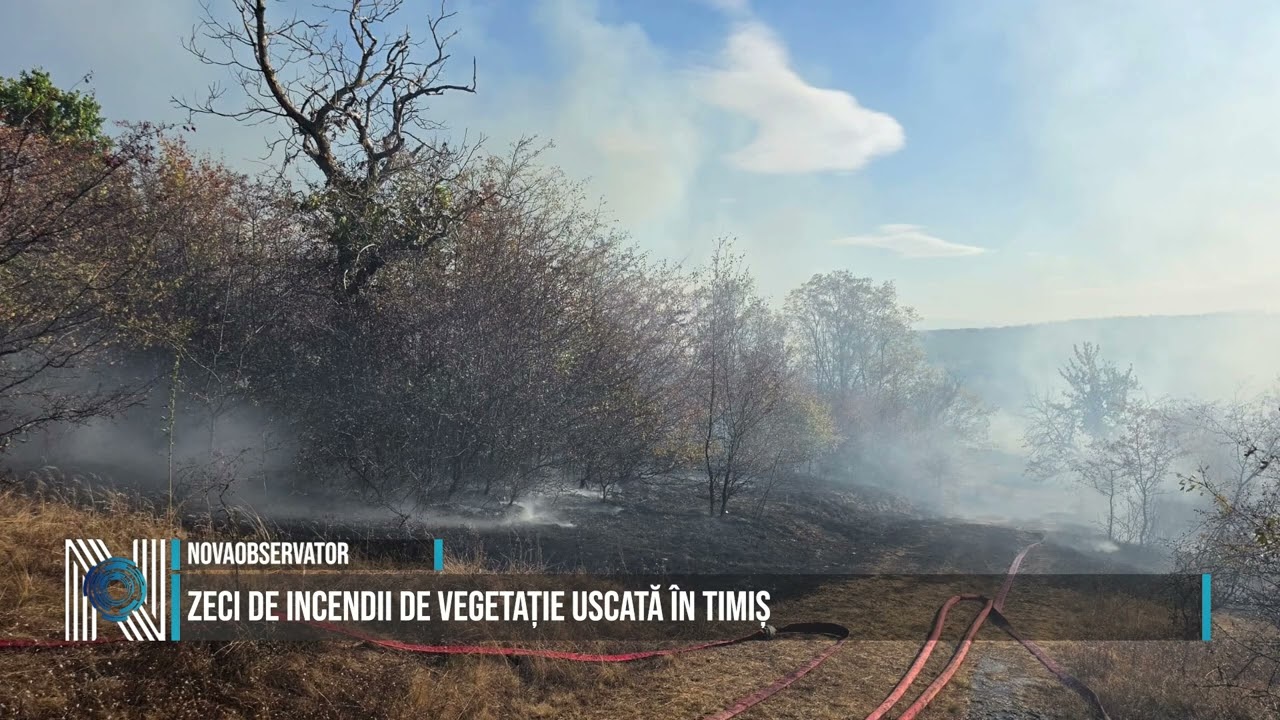 Zeci de incendii de vegetație uscată în Timiș