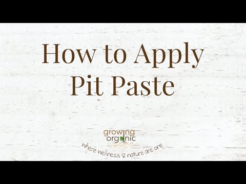How to Apply Pit Paste | All Natural Probiotic Deodorant