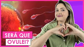 COMO SABER QUE ESTOU OVULANDO?