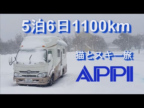 5泊6日1,100km 猫と安比高原スキー旅