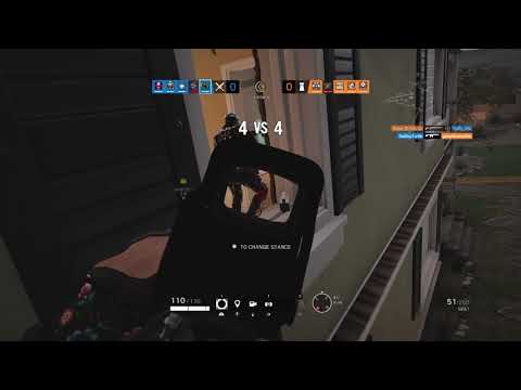 My fastest diffuser plant