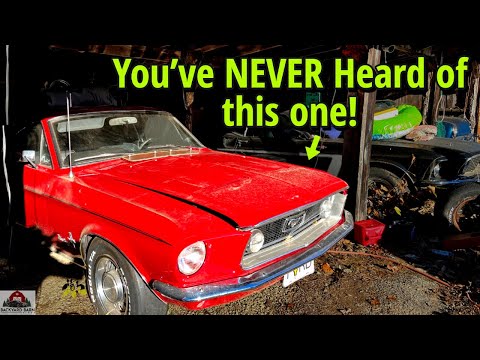 Mustang You've NEVER Heard BEFORE!! - Police car, 428 cars, 1967 Mustang Fastback