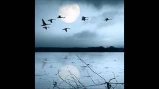 Wild Geese   IMPERIALS