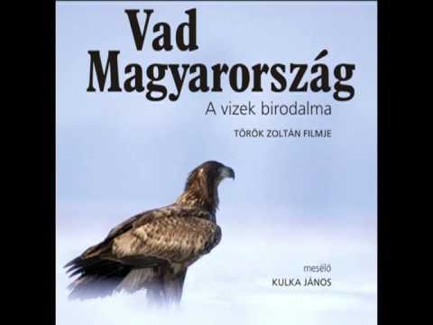 Vad Magyarország - Madárka, madárka