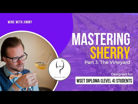 Mastering Sherry for WSET Level 4 (WSET Diploma): Part 3 - The Vineyard