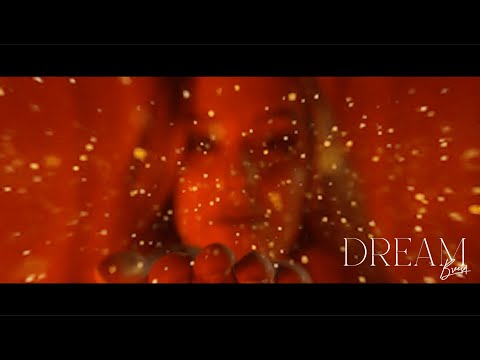 BREESA - DREAM ( PROD. DANNYEBTRACKS )