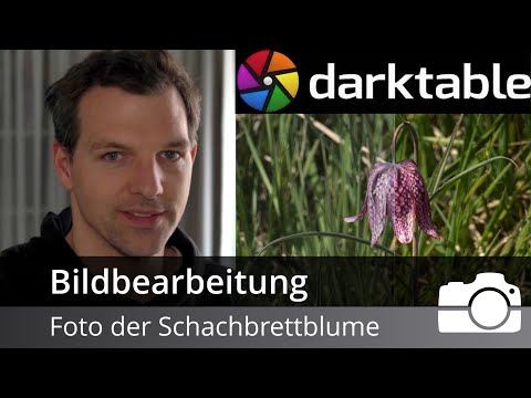 Fotoentwicklung der Schachbrettblume aus der unteren Seeveniederung | Darktable | Bildbearbeitung