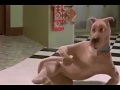 Scooby Doo Fart Loop Slow Mo
