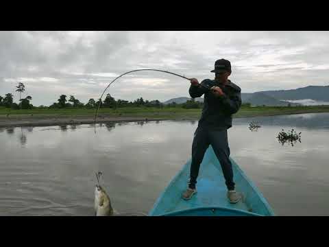 Topwater Papuan Black Bass Fishing Again with Gong Lei