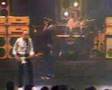 Solid Gold  - Status Quo