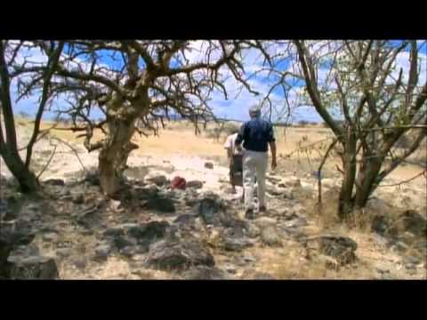 The Living Earth