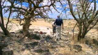 Earth Story - The Living Earth