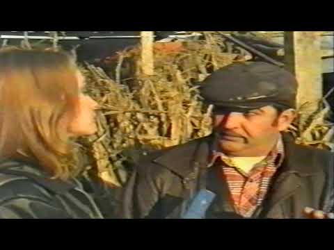 Qumili - "Femra dhe 8 marsi" Baci Zef HUMOR 1998