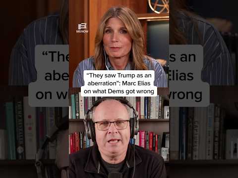 'They saw Trump as an aberration': Marc Elias on what Dems got Wrong
