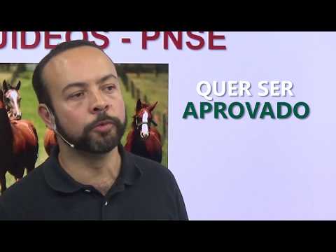 PROFESSOR - Experiência como concurseiro do MAPA