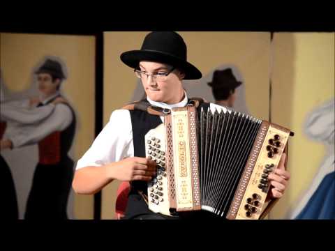 35. zlata harmonika: II. kategorija