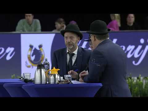 HK 2026 – Rubriek 2 – Keuring van de ingeschreven stamboekhengsten van 13 jaar en ouder