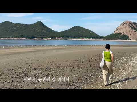 새만금,공존의 길을 달리다