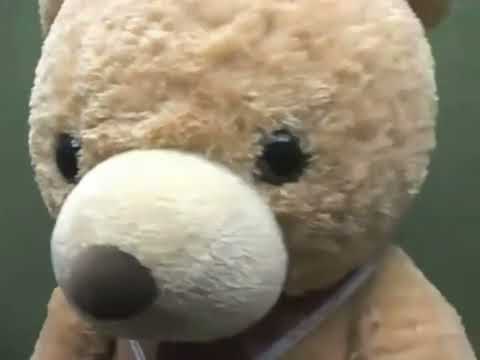 Hikaru Utada In A Bear Costume