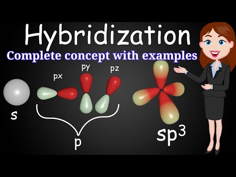 Hybridization: complete concept with examples