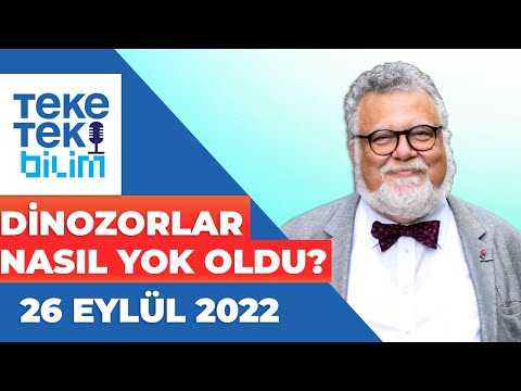 Dinozorlar nasıl yok oldu? Prof. Dr. Celal Şengör - Teke Tek Bilim
