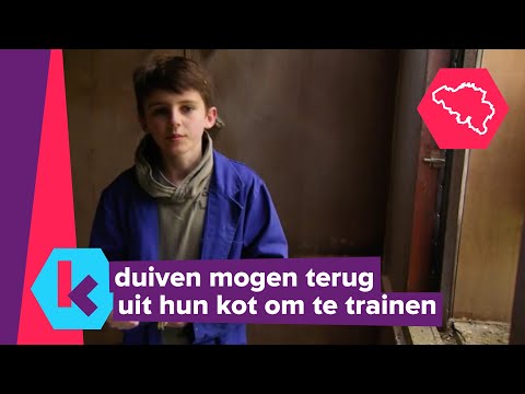 Arthur traint opnieuw zijn duiven