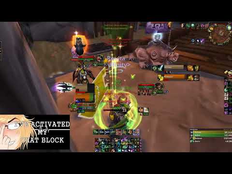 TBC Arena Warrior/Druid ~2250 rated.