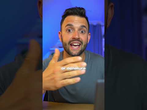 Does Cooking Protein Powder Destroy It?