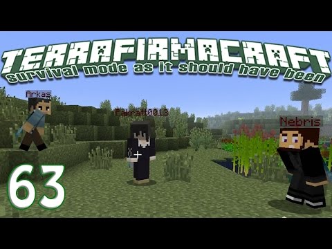 Terrafirmacraft Reloaded - E63 - The Mighty Jungle (Minecraft)