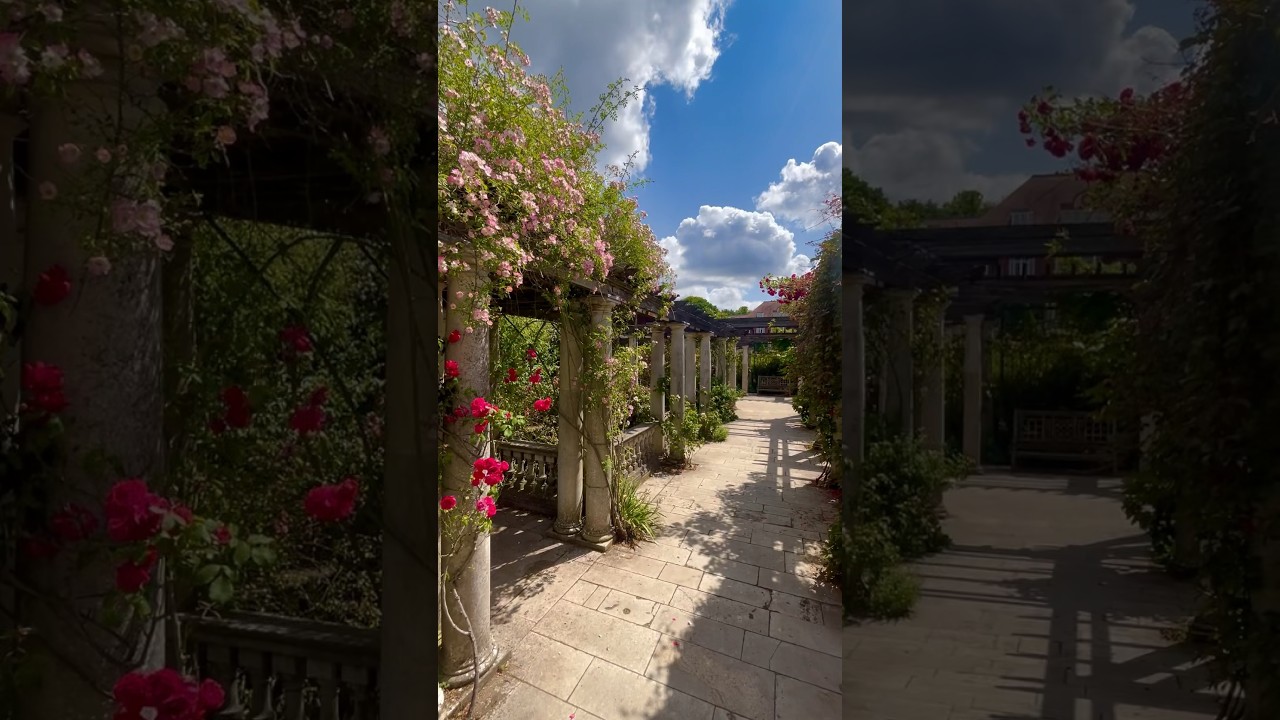 YouTube Short thumbnail