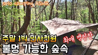 가성비 최고 숲속 캠핑장에서 너무나 궁금했던 쉘터로 하룻밤/도쿄크래프트 다이아포트 TC 솔로 텐트/솔로캠핑 solo camping ASMR