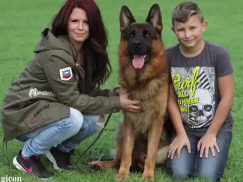 441AF477 FE74 45A9 99E2 C77013025C67