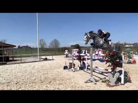 KENSINGTON (7yo Zirocco Blue x Indoctro) 2022