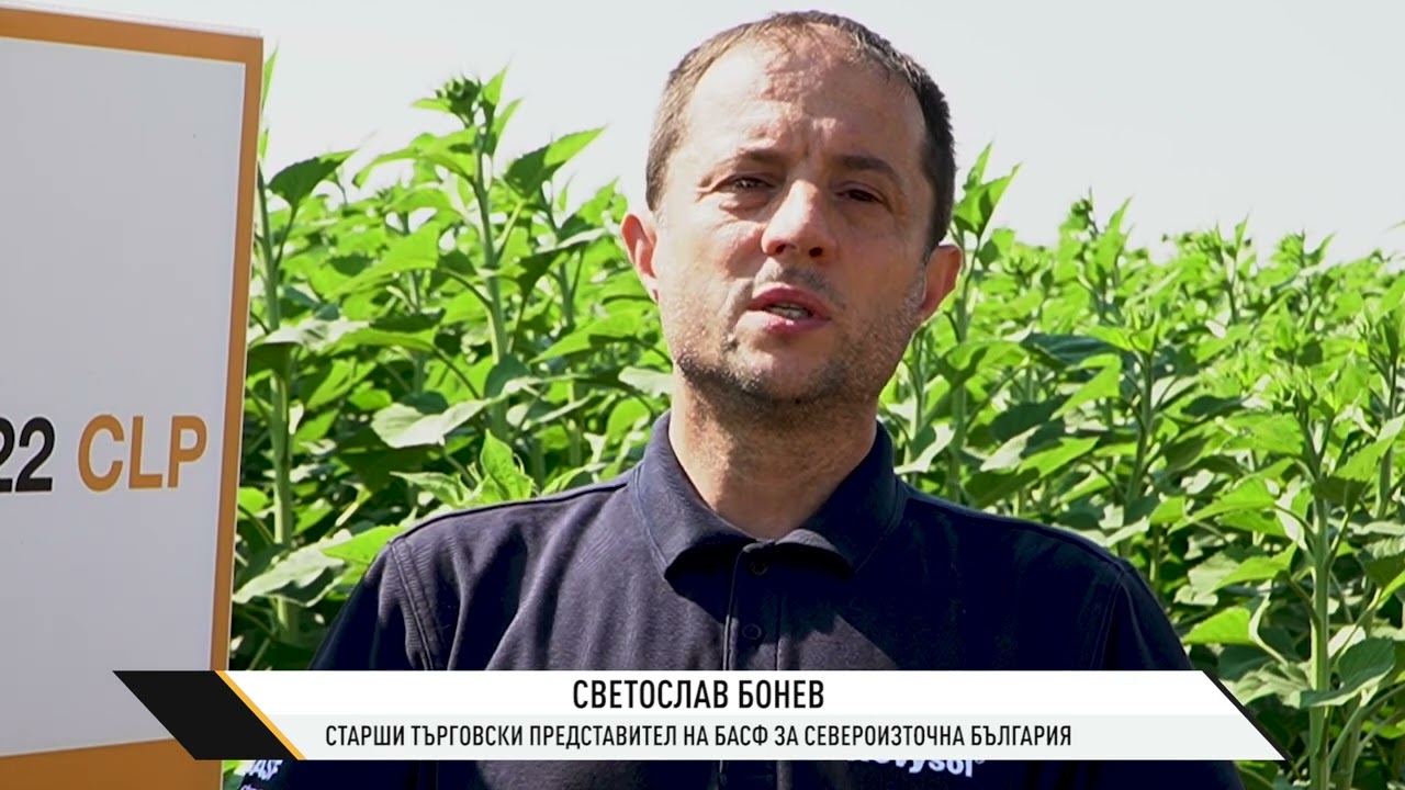 BASF – световен лидер в производството на фунгициди