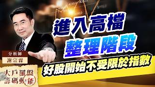 進入高檔整理階段 好股開始不受限於指數｜大戶羅盤籌碼動能 ｜謝宗霖 (圖)