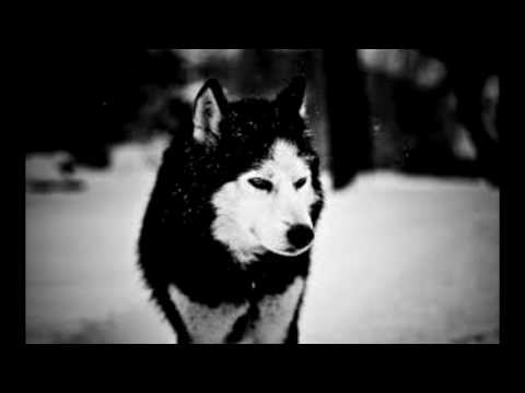 Graves & Rickyxsan - The Plague