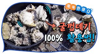 해양쓰레기 굴껍데기의 변신은 무죄? 굴껍데기 100% 활용법! [똑똑한 바다]