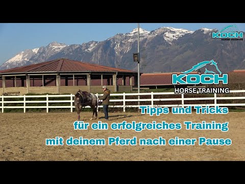 Tipps und Tricks für ein erfolgreiches Training mit deinem Pferd nach einer Pause