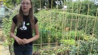 Bethany Malcolm's good life plan