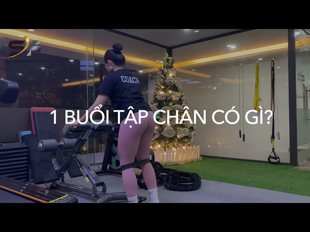  Lower Body Workout 1| StrongFit Private Fitness