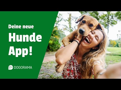 Dogorama – The Dog Community video