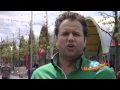 Gerard Palts Jongen van de handel cli Gerard Palts Jongen van de handel cli
