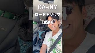 娘をニューヨークへ送る旅|Day 4 デンバーからオマハへ!果てしない大平原を走る🚗🌾