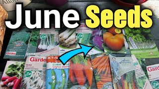 Seeds to Sow in June - Seeds Sowing in June - Gardening for Beginners