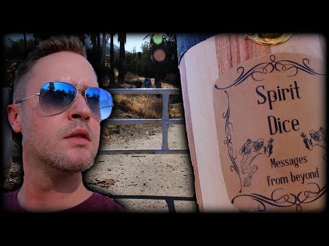I can't believe what it said... | SPIRIT DICE COMMUNICATION! | MichaelScot
