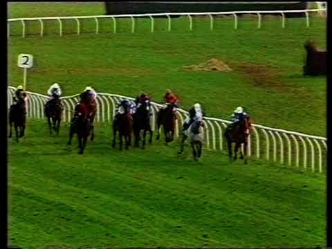 1991 Gods Solution Handicap