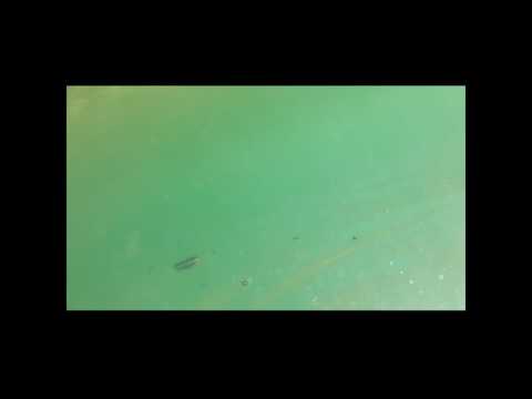 Dudi NZR - Piszę rap