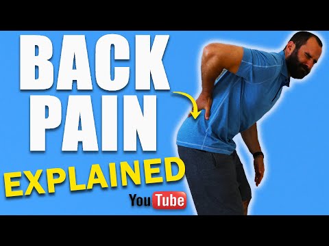Understanding LOW BACK PAIN! (Best Stretches, Exercises & Posture Modifications)