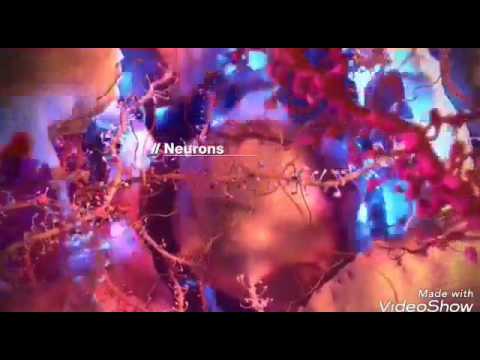 Let the light shine in - (original song by Christian DJ Lifire)