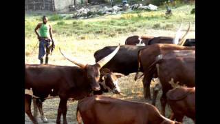 Scenes of  East African Towns